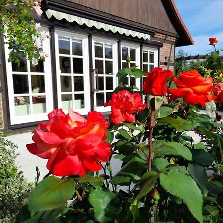 Ferienhaus Gartower See Eksteriør bilde