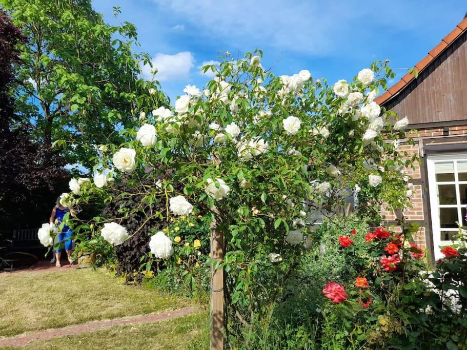 Ferienhaus Gartower See Eksteriør bilde